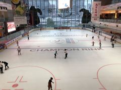 -冠军冰场CHAMPION RINK(凯德广场店)