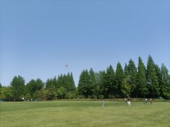 -上海滨江森林公园