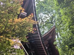 -韬光茶庵