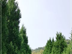 -无锡市乌鹤山公墓办事处