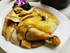-南庄酒家·海鲜粤菜·25年老字号(环城南路店)