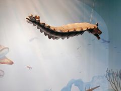 -重庆欢乐海底世界