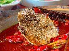 -袁老四重庆老火锅(桐梓坡店)