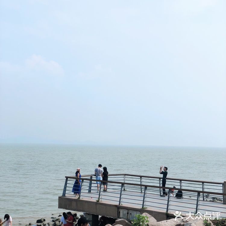 深圳旅游攻略 | 畅享惬意的红树林之旅🌴