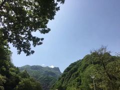 -陕西省红河谷森林公园