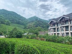-余姚阳明温泉山庄