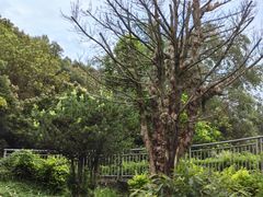 -梅州雁山湖国际花园度假区