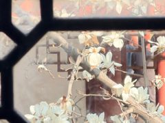 -堤角公园