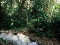 -火炉山森林公园