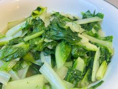 小白菜-大碗先生(方圆荟店)