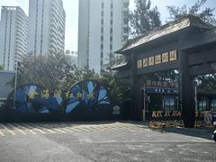 -北海金海湾红树林生态旅游区