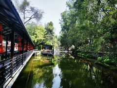 -侨美·唐荔园·40年地道粤菜