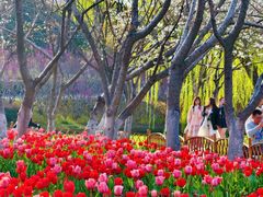 -白塘生态植物园
