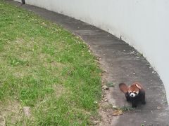 -合肥野生动物园