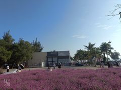 -玫瑰海岸文化旅游度假区