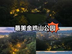 -金鸡山公园