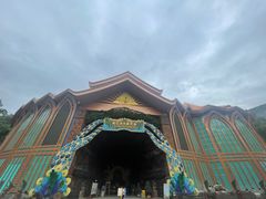 -西双版纳原始森林公园