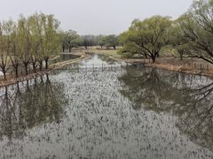 -北京麋鹿生态实验中心