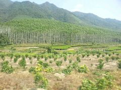 -九屋西岭生态度假景区