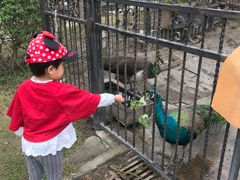 -上海滴水湖皇冠假日酒店