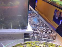 -聚盛源蒸汽海鲜火锅烤肉自助(巨川金海岸购物广场店)