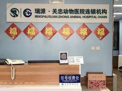 -瑞派·关忠动物医院·异宠专科·犬猫肿瘤·皮肤专科(望京店)