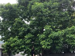 -Club Med地中海俱乐部·桂林度假村