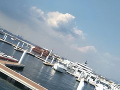 -东港音乐喷泉广场