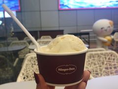 -哈根达斯(天河城店)