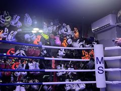 -M.S拳击泰拳馆(大学路店)