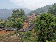 -杨家堂村