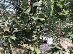 -元大都城垣遗址公园