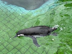 -上海野生动物园