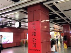 -飞翔公园(地铁站)
