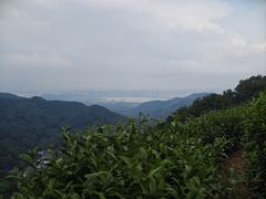-十里琅珰