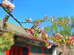 -元大都城垣遗址公园
