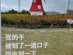 -菊园百果园