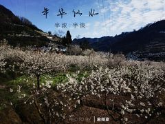 -樱桃山旅游景区