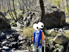 -云岫谷自然风景区