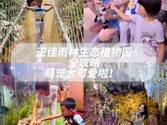 -正佳雨林生态植物园