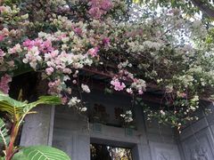 -深圳国际园林花卉博览园