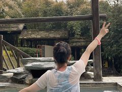 -崇阳三特浪口温泉