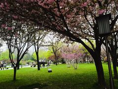 -唐城墙遗址公园