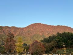 -塔川景区