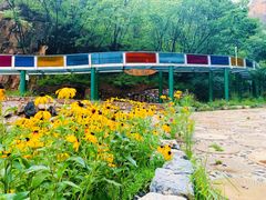 -十渡东湖港风景区