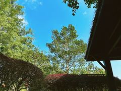 -英德宝晶宫天鹅湖茶语温泉