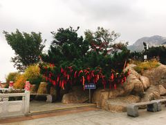 -石岛赤山风景区