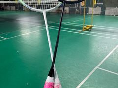 -东丽温泉羽毛球