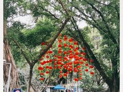 -晓港公园