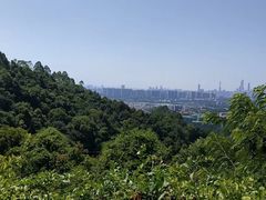 -火炉山森林公园